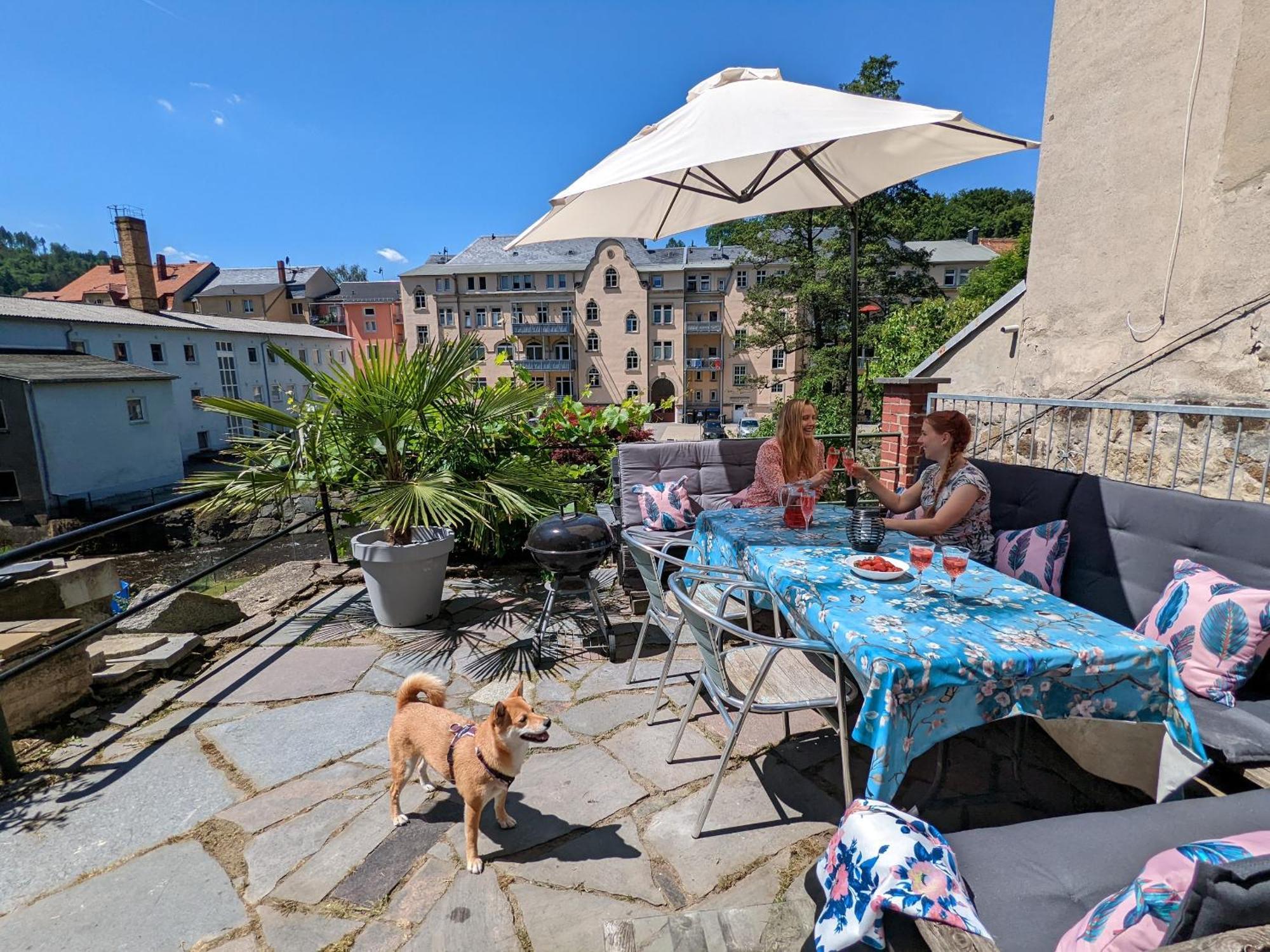 Hw3 - Urlaubsmagie - Helle, Grosse Wohnung Mit Pool Sebnitz Exteriör bild