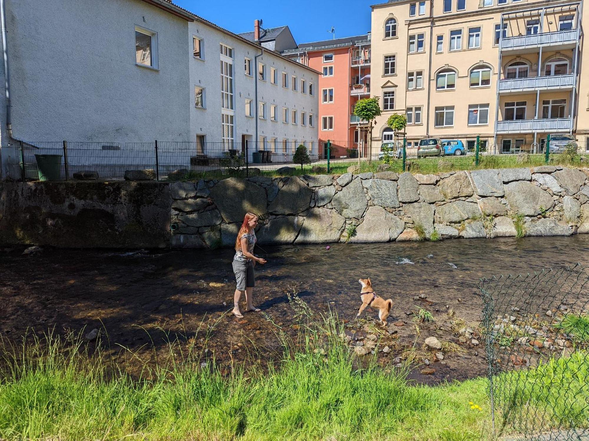 Hw3 - Urlaubsmagie - Helle, Grosse Wohnung Mit Pool Sebnitz Exteriör bild
