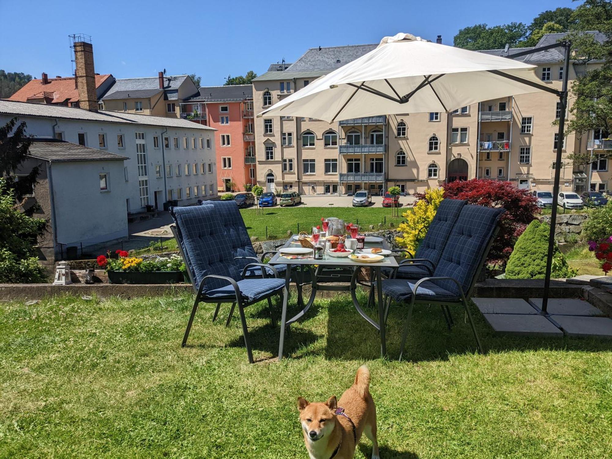 Hw3 - Urlaubsmagie - Helle, Grosse Wohnung Mit Pool Sebnitz Exteriör bild