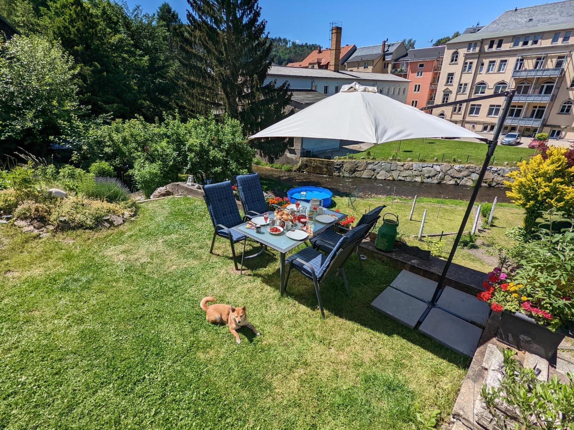Hw3 - Urlaubsmagie - Helle, Grosse Wohnung Mit Pool Sebnitz Exteriör bild