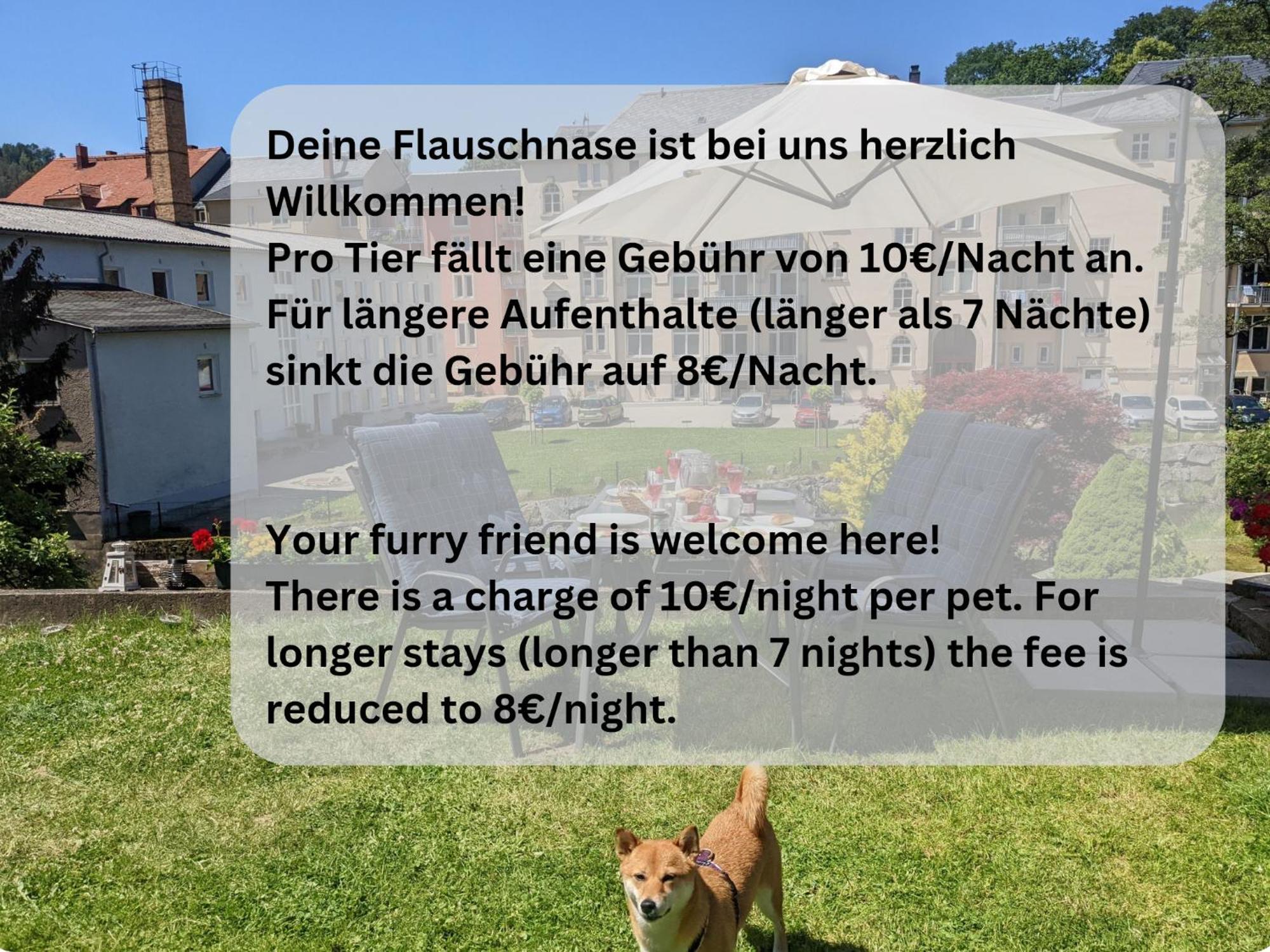 Hw3 - Urlaubsmagie - Helle, Grosse Wohnung Mit Pool Sebnitz Exteriör bild